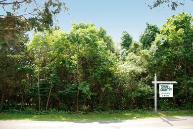 1.7+ acre lot at 316 Two Holes of Water, East Hampton has room - photo 1