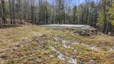 2.5-Acre Surveyed Parcel on Kimball Pond Road, Vienna, Maine - photo 5