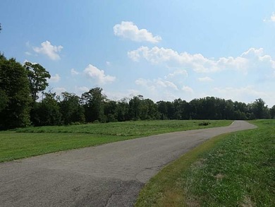 Love To Golf, Fish, Hike, & Country Living Only Minutes To - photo 7
