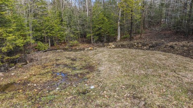 2.5-Acre Surveyed Parcel on Kimball Pond Road, Vienna, Maine - photo 7