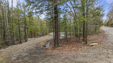 2.5-Acre Surveyed Parcel on Kimball Pond Road, Vienna, Maine - photo 9
