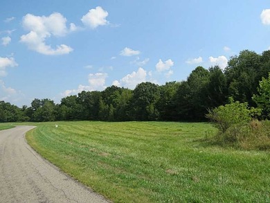 Love To Golf, Fish, Hike, & Country Living Only Minutes To - photo 10