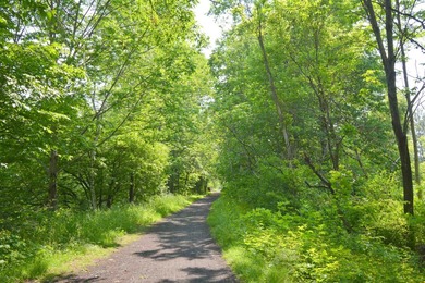 13+ Acre parcel with drilled well and septic system. House - photo 2