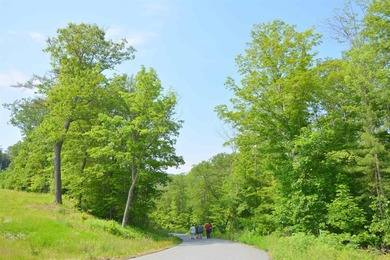 13+ Acre parcel with drilled well and septic system. House - photo 3