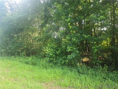 Lake Lot For Sale in Raeford, North Carolina