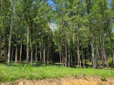 Over an Acre Down the Street from Boat Ramp! - photo 7