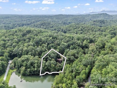 Stunning log cabin in Riverbend at Lake Lure offers mountain - photo 39