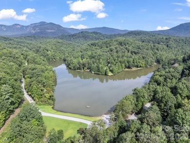Stunning log cabin in Riverbend at Lake Lure offers mountain - photo 43