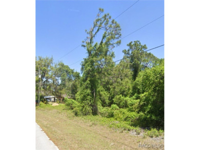 Lake Lot For Sale in Ocklawaha, Florida