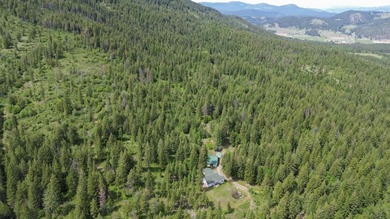 PRIVATE one-level home on beautiful 20 acres, big shop, located - photo 1