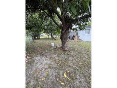 Don't miss this beautifully renovated, centrally located - photo 3