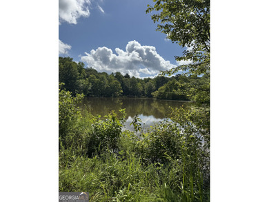 Jackson Lake Acreage For Sale in Covington Georgia