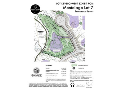 Discover one of Tamarack Resort's newest estate homesite - photo 11