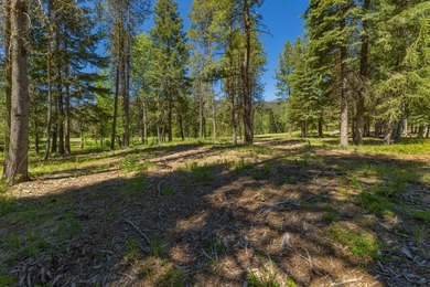 Discover one of Tamarack Resort's newest estate homesite - photo 13