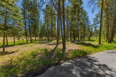 Discover one of Tamarack Resort's newest estate homesite - photo 21