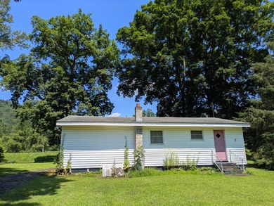 Delaware River Home For Sale in East Branch New York