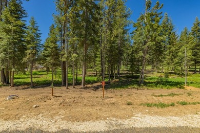 Discover one of Tamarack Resort's newest estate homesite - photo 24