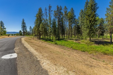 Discover one of Tamarack Resort's newest estate homesite - photo 25