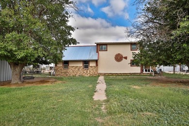 (private lake, pond, creek) Home For Sale in Odessa Texas