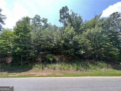 Lake Lot For Sale in Cartersville, Georgia