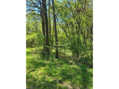 Lake Catherine Lot For Sale in Hot Springs Arkansas