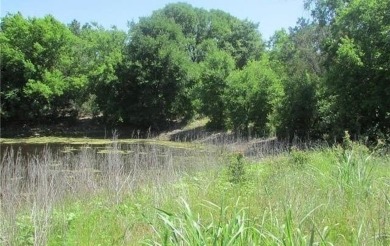 Tucked away on 29.46 private acres, this property provides a - Lake Acreage For Sale in Whitney, Texas