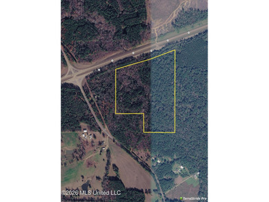 Lena 40+/- acres with about 1,400 feet of frontage along Hwy 25 - photo 1