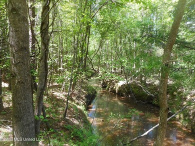 Lena 40+/- acres with about 1,400 feet of frontage along Hwy 25 - photo 2