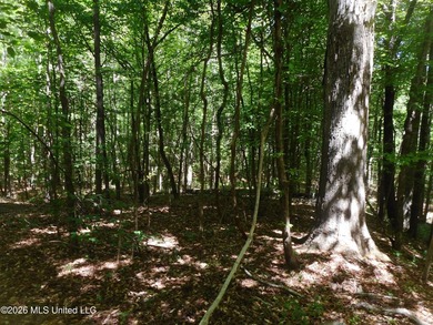 Lena 40+/- acres with about 1,400 feet of frontage along Hwy 25 - photo 3