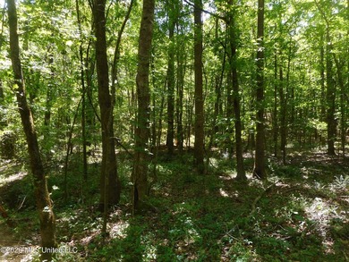 Lena 40+/- acres with about 1,400 feet of frontage along Hwy 25 - photo 4