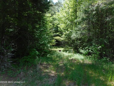 Lena 40+/- acres with about 1,400 feet of frontage along Hwy 25 - photo 5