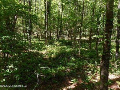 Lena 40+/- acres with about 1,400 feet of frontage along Hwy 25 - photo 6