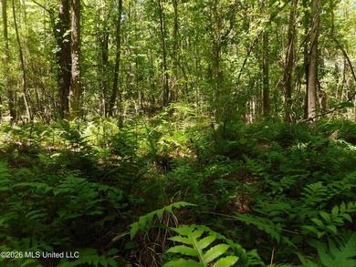 Lena 40+/- acres with about 1,400 feet of frontage along Hwy 25 - photo 7