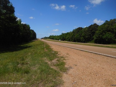 Lena 40+/- acres with about 1,400 feet of frontage along Hwy 25 - photo 8