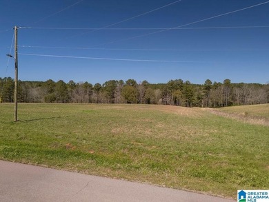 Blue Water Bend is a premier gated community in Jasper, AL - photo 2