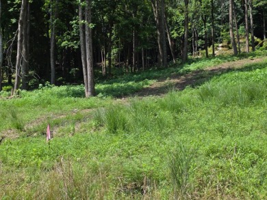 Over an Acre Down the Street from Boat Ramp! - photo 3