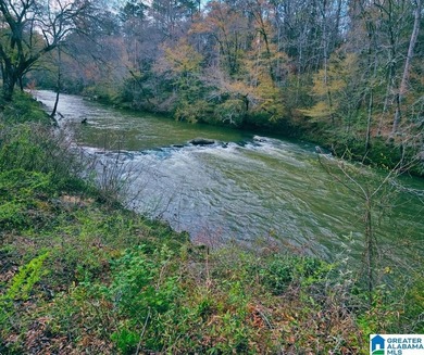 Blue Water Bend is a premier gated community in Jasper, AL - photo 3