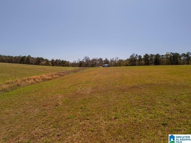 Blue Water Bend is a premier gated community in Jasper, AL - photo 7
