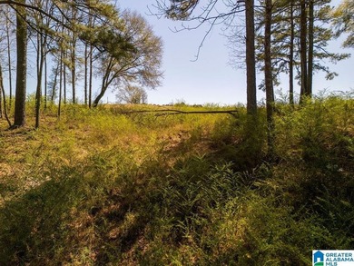 Blue Water Bend is a premier gated community in Jasper, AL - photo 9