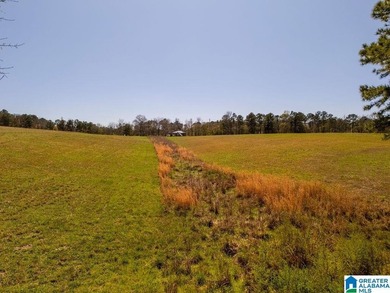 Blue Water Bend is a premier gated community in Jasper, AL - photo 10