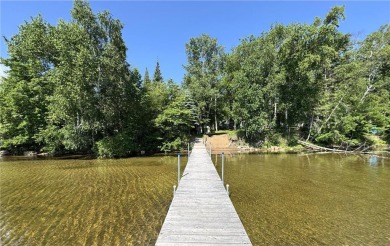 Lake Home For Sale in Palisade, Minnesota