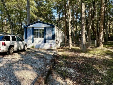 Lake Home For Sale in Buchanan, Tennessee