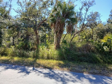 Port Charlotte Waterway Area Lot For Sale in Port Charlotte Florida