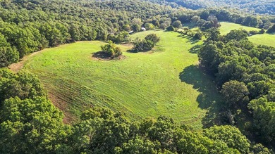 Discover 42 acres of prime, versatile land that offers the - photo 12