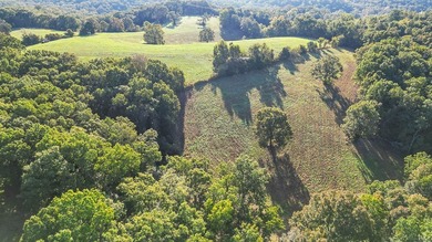 Discover 42 acres of prime, versatile land that offers the - photo 13
