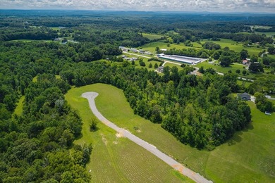 Gorgeous open/wooded 11.9 acres nestled between Smithville and - photo 4