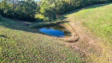 Discover 42 acres of prime, versatile land that offers the - photo 15
