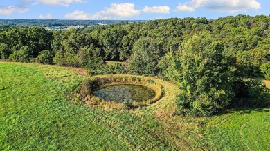 Discover 42 acres of prime, versatile land that offers the - photo 16