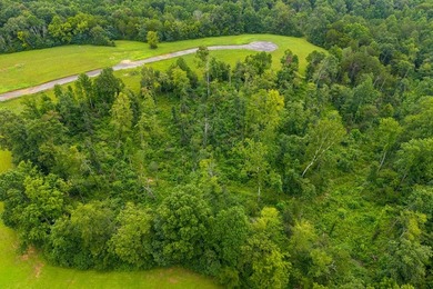 Gorgeous open/wooded 11.9 acres nestled between Smithville and - photo 6