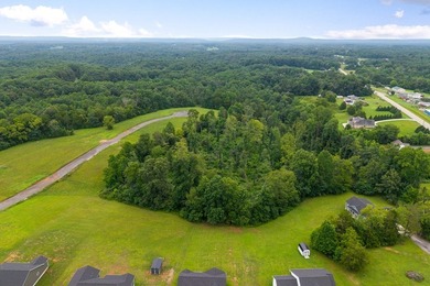 Gorgeous open/wooded 11.9 acres nestled between Smithville and - photo 9